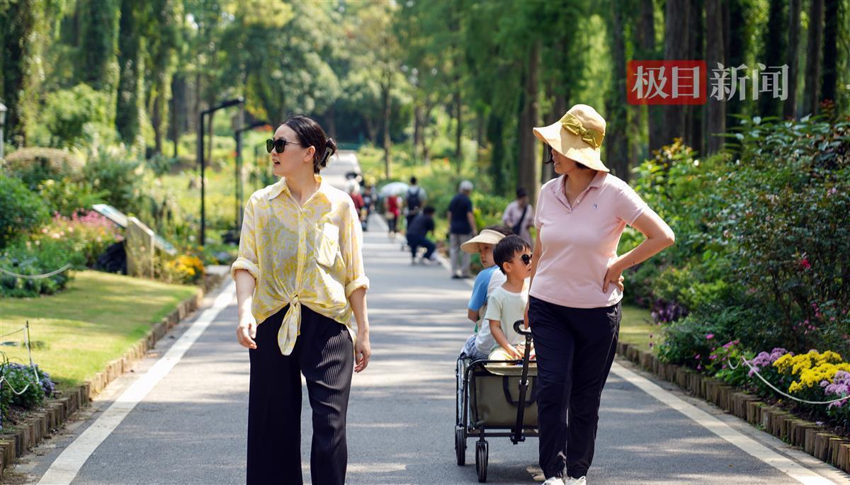 微信斗牛小程序